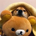 Lucía Morales Avatar