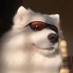 Hernán Barrios Avatar